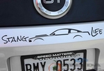 Stang Life Decal - Black (10-14 All)